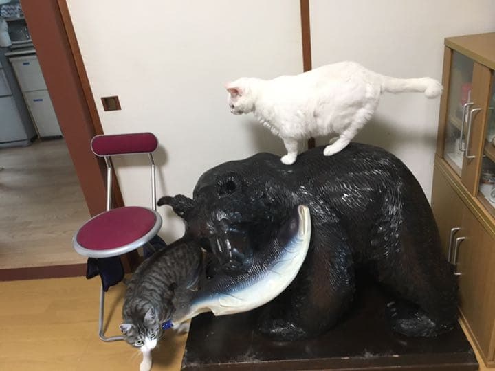 木彫りの熊