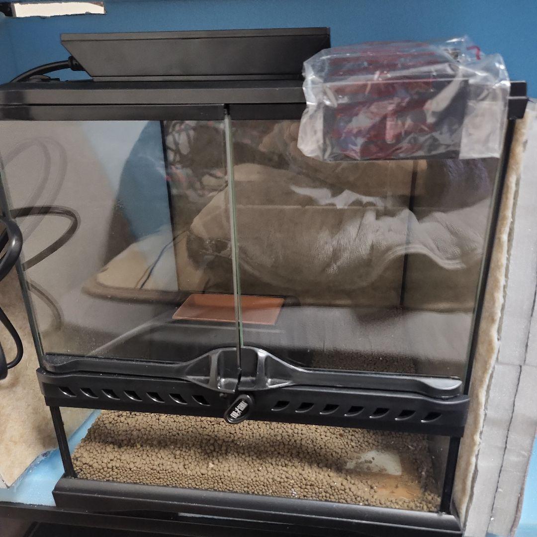 グラステラリウム3030と色々