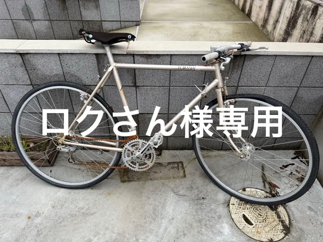 ブリヂストン ユーラシア（ジャンク）