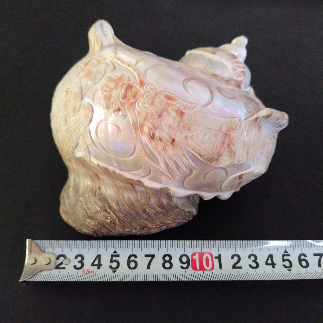 貝殻　置物　龍　鳳凰　彫刻