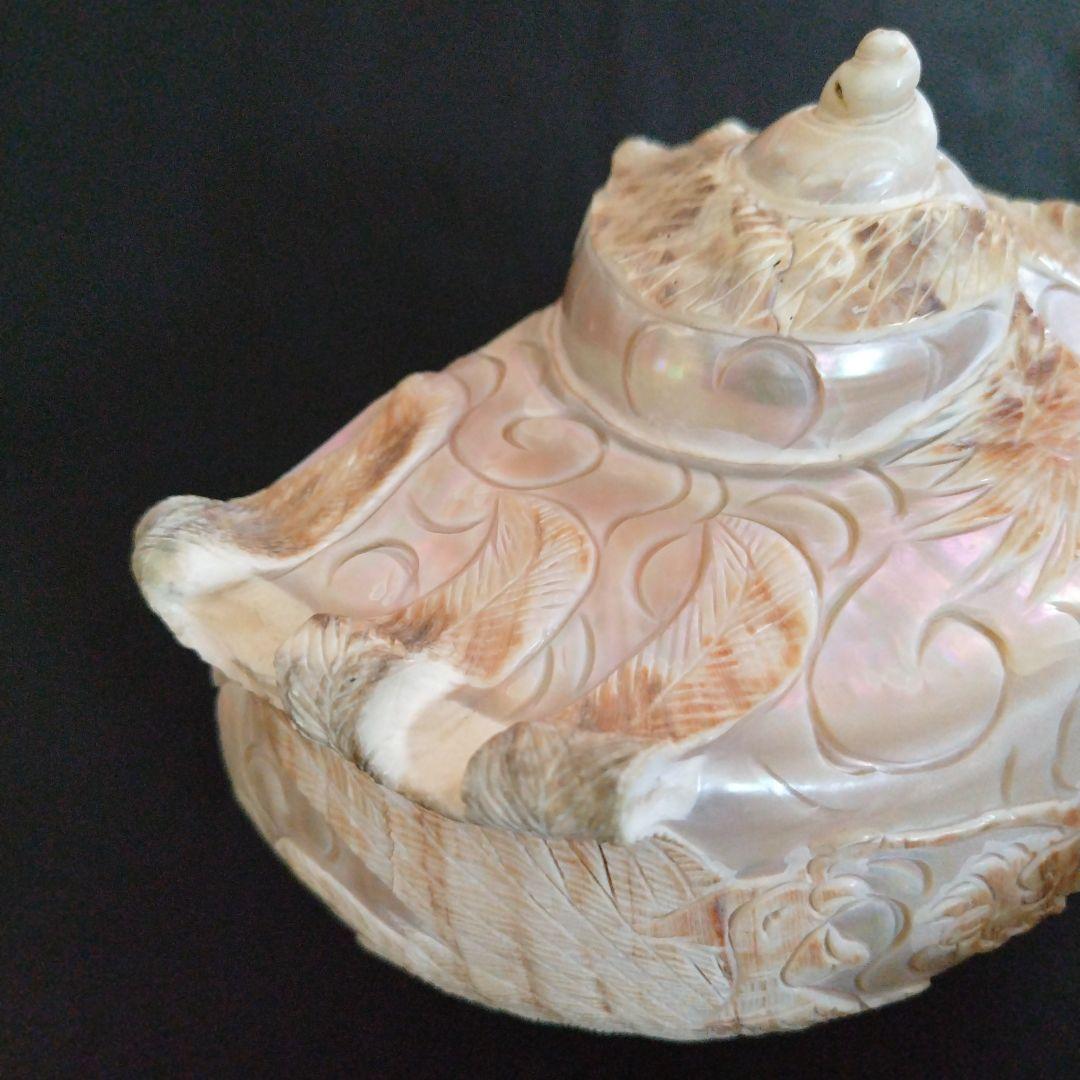 貝殻　置物　龍　鳳凰　彫刻