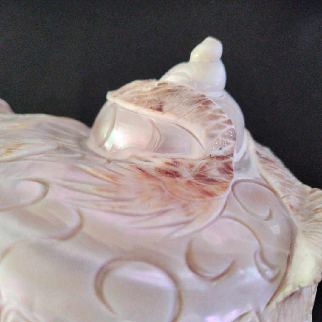 貝殻　置物　龍　鳳凰　彫刻