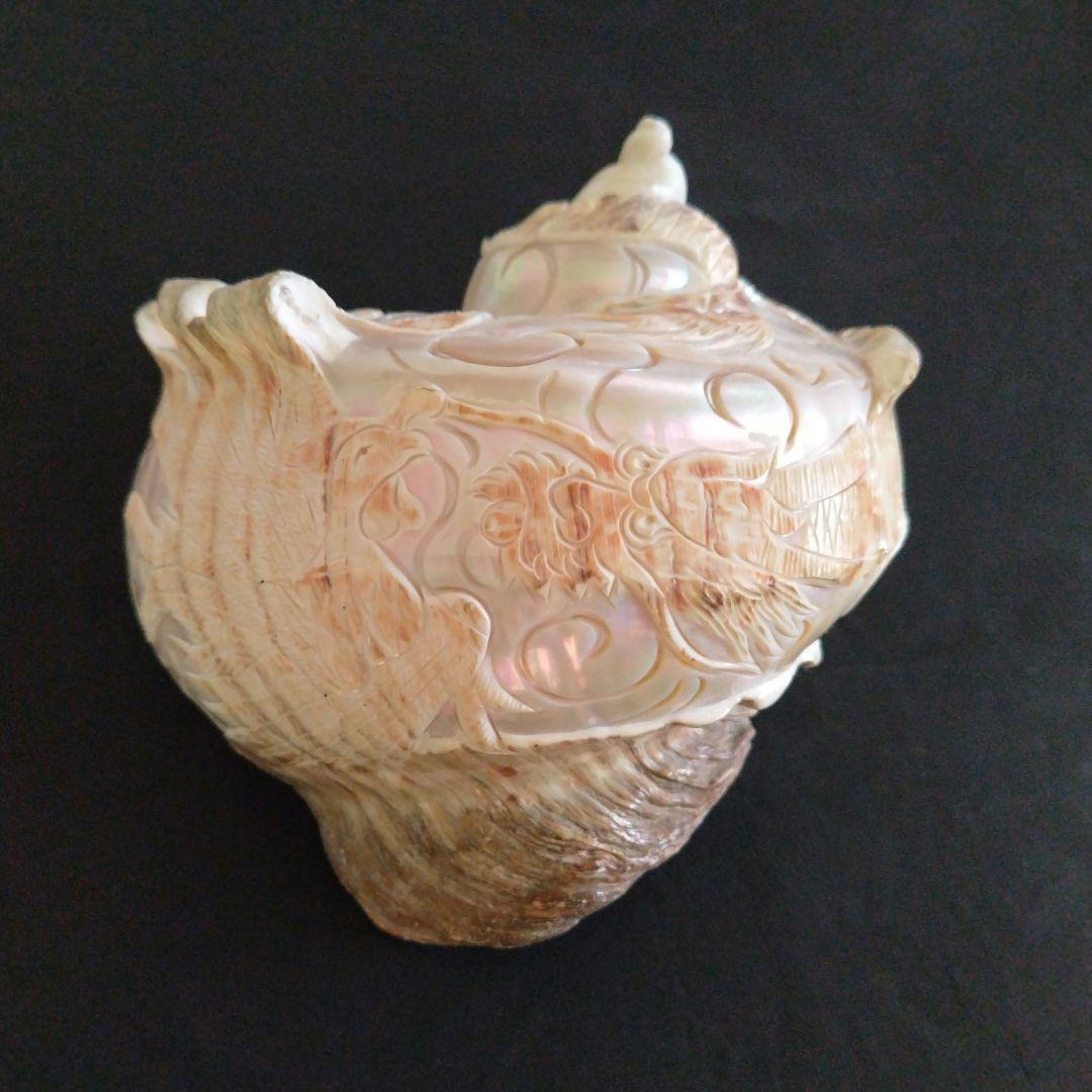 貝殻　置物　龍　鳳凰　彫刻