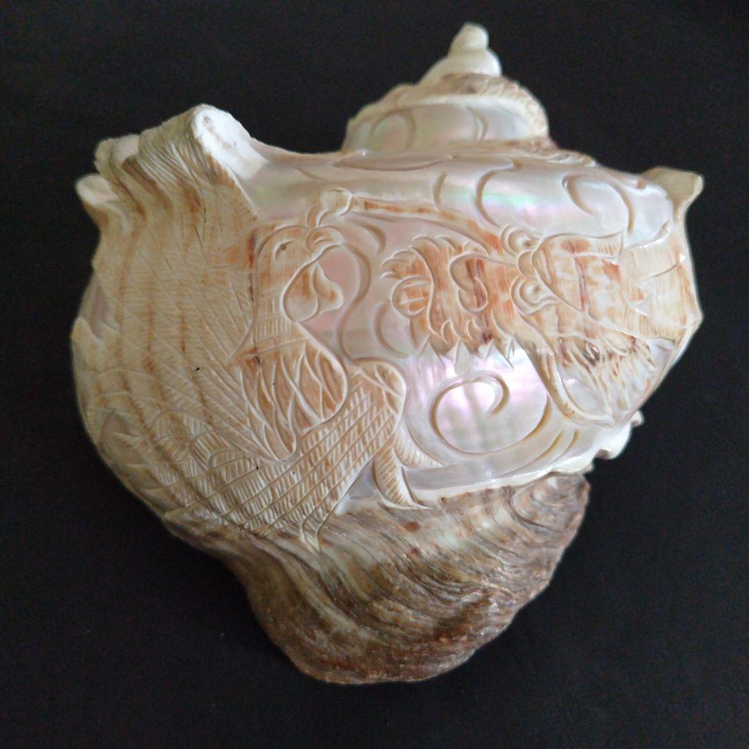 貝殻　置物　龍　鳳凰　彫刻