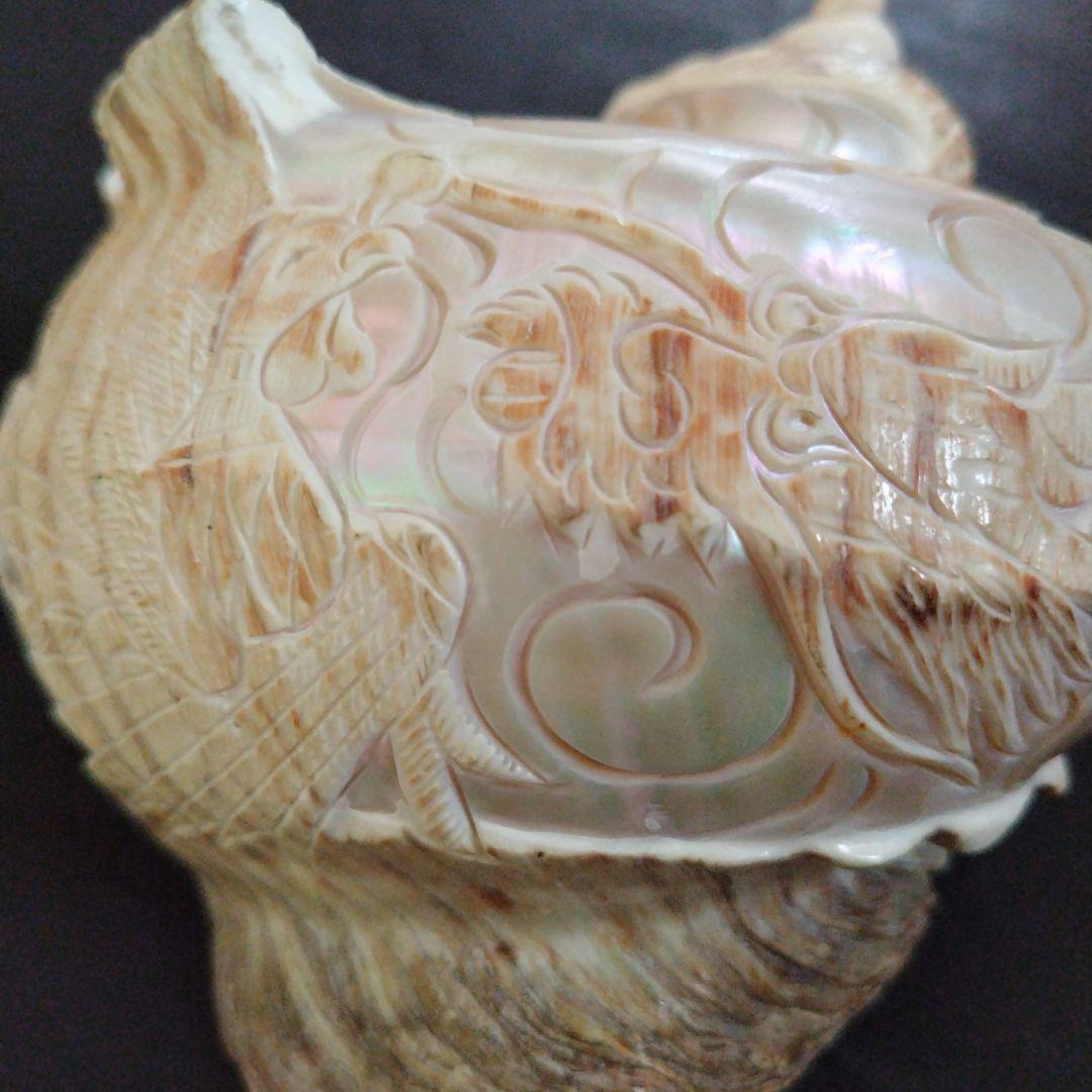 貝殻　置物　龍　鳳凰　彫刻