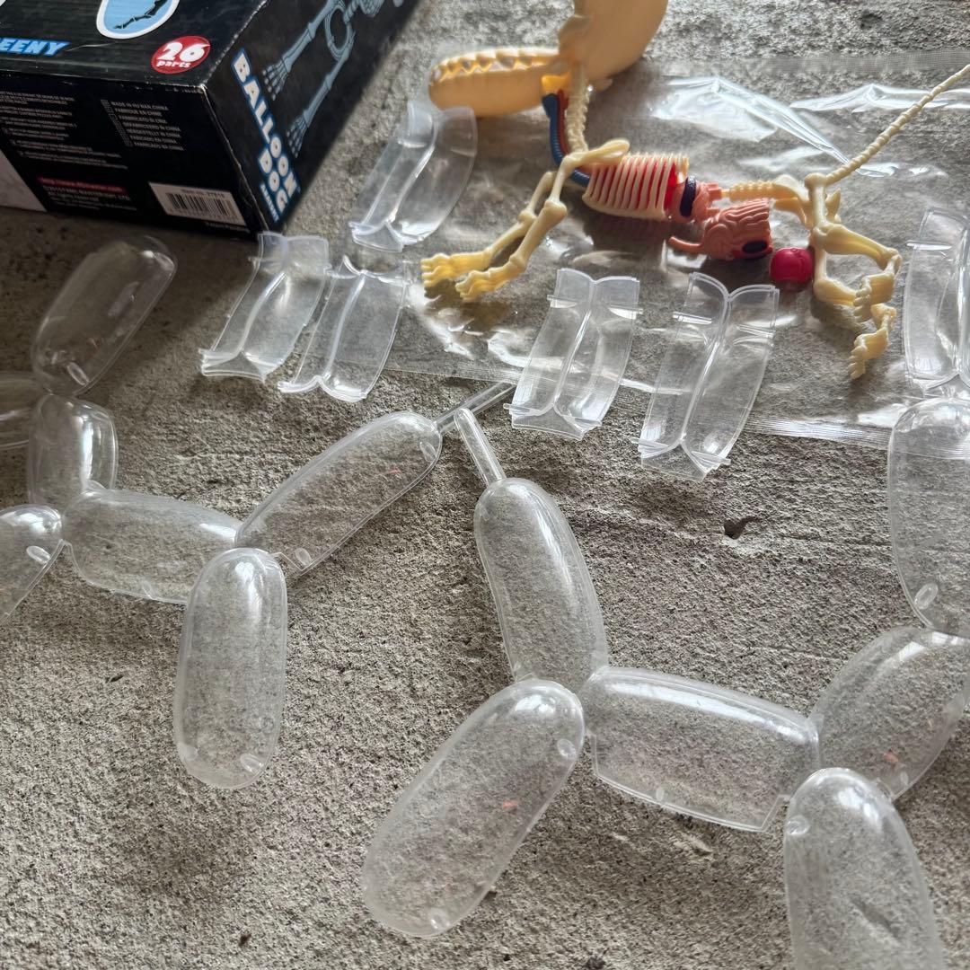4DMASTER Balloon Dog Anatomy バルーンドッグ