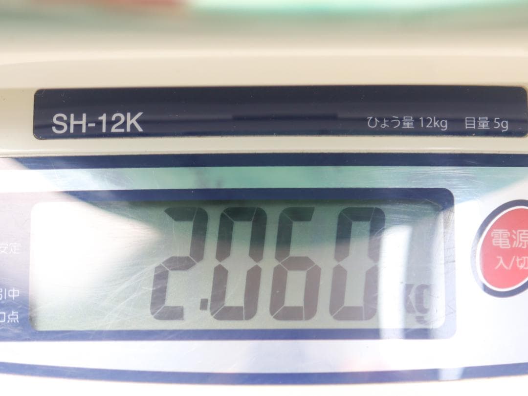 明治期 再興九谷 色絵兎山水公家図飾皿 尺2寸