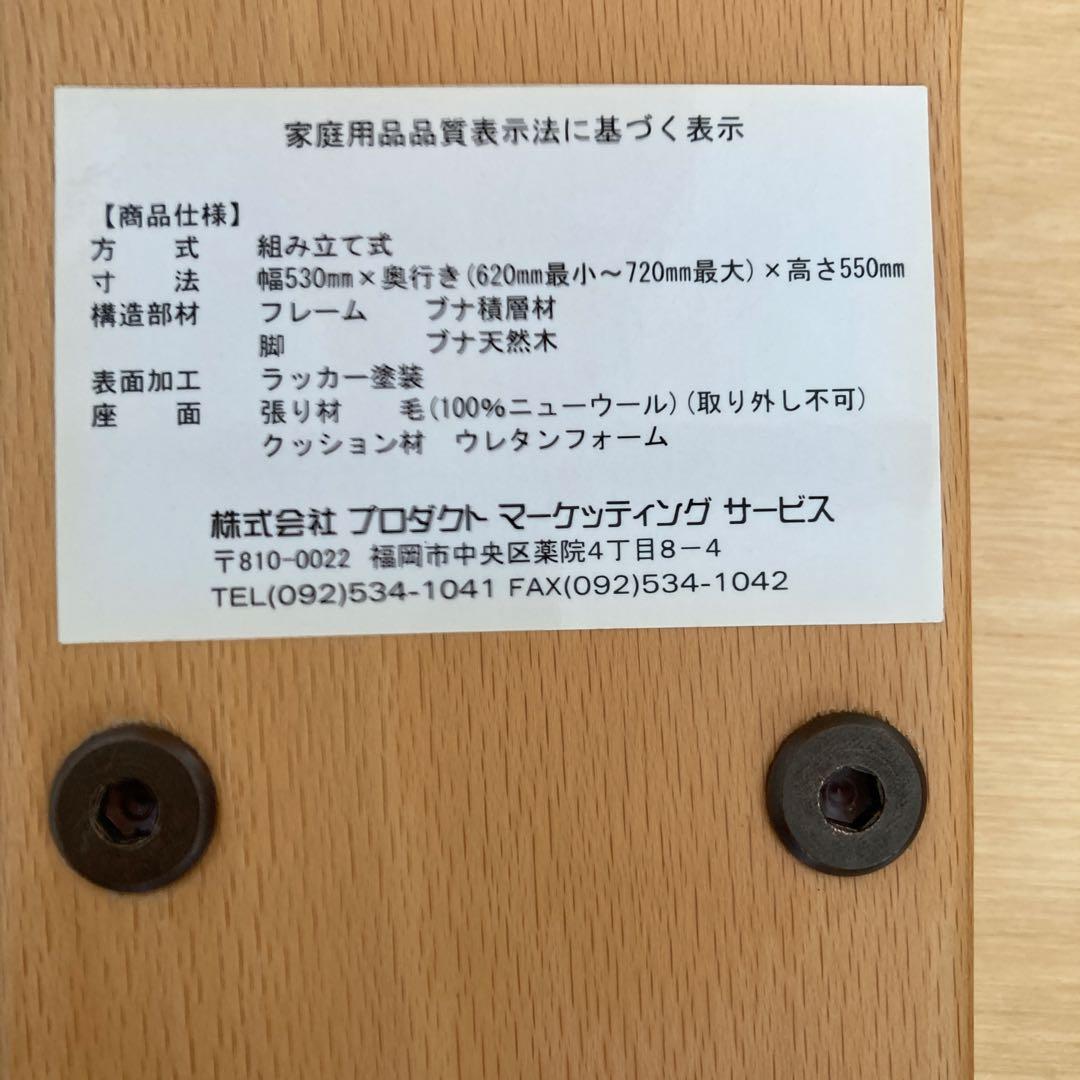 【通販生活】週末限定価格 Rybo社 バランスチェア　ライトグリーン