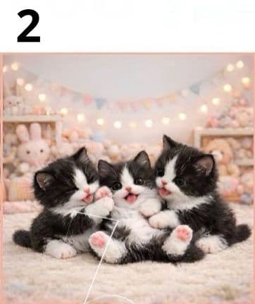 オーダーページ　ハンカチ　183 こねこ柄ハンドメイド1/31