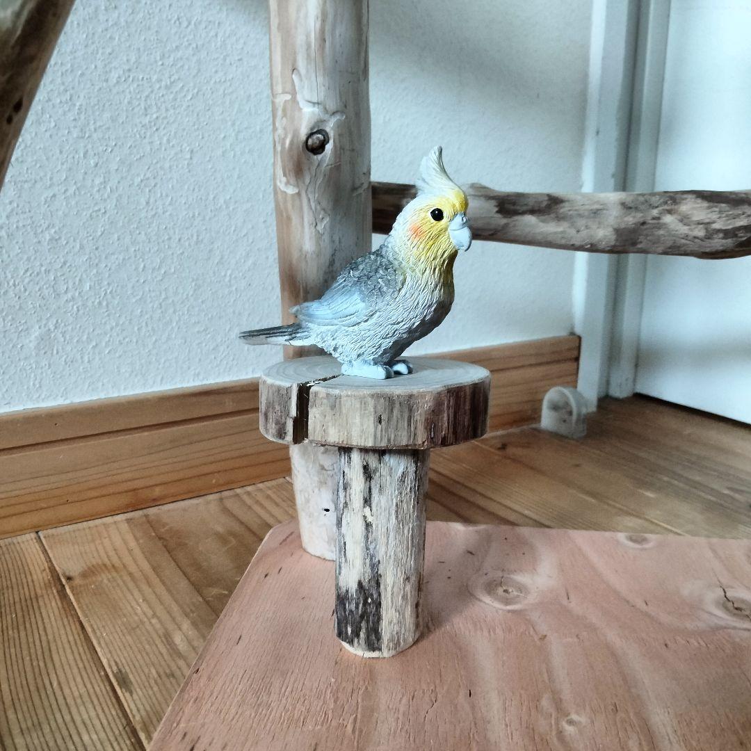 ET バードアスレチックジム 天然木 自然木 流木 止まり木 インコ