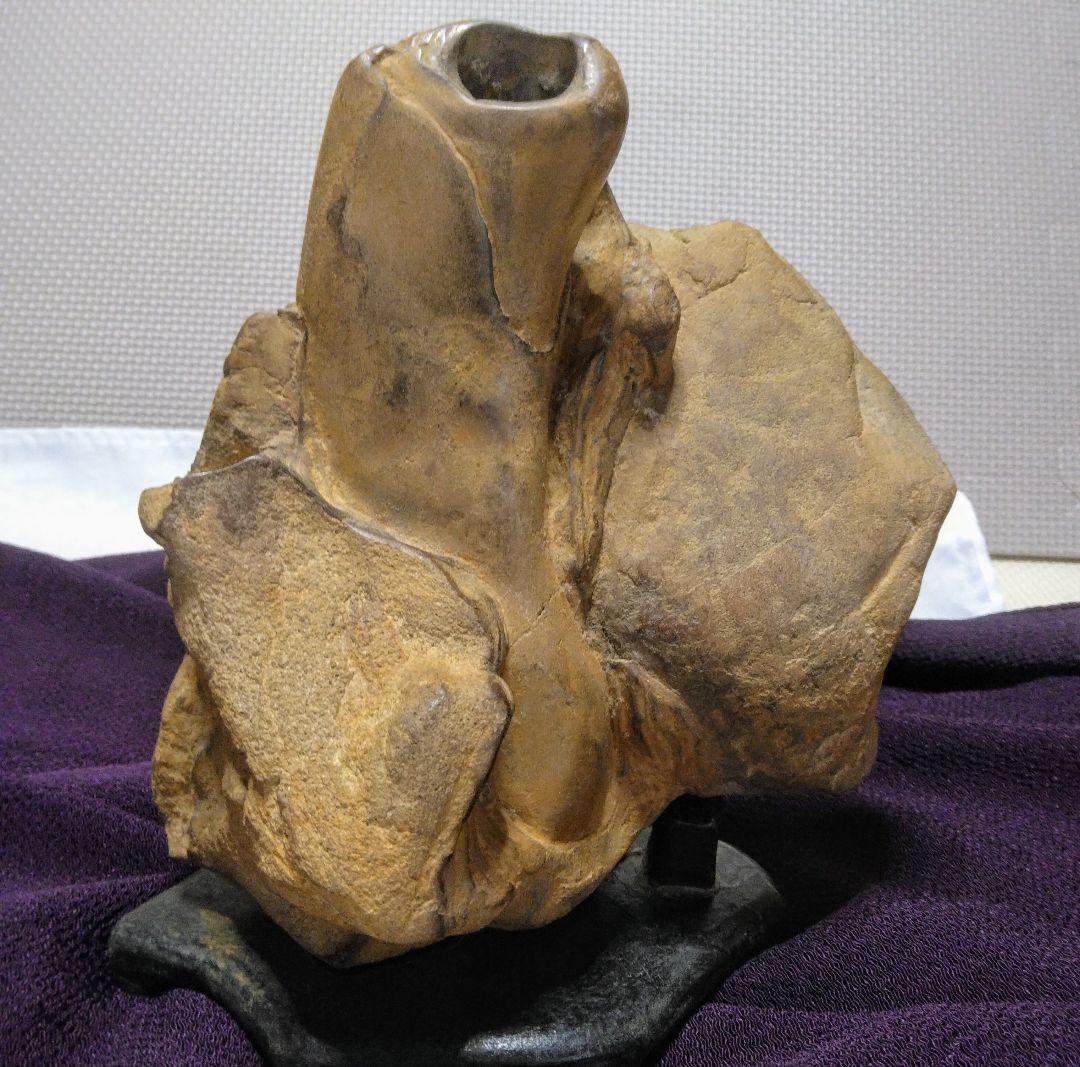 ☆壺石☆天然石☆鑑賞石