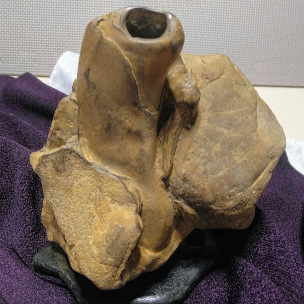 ☆壺石☆天然石☆鑑賞石