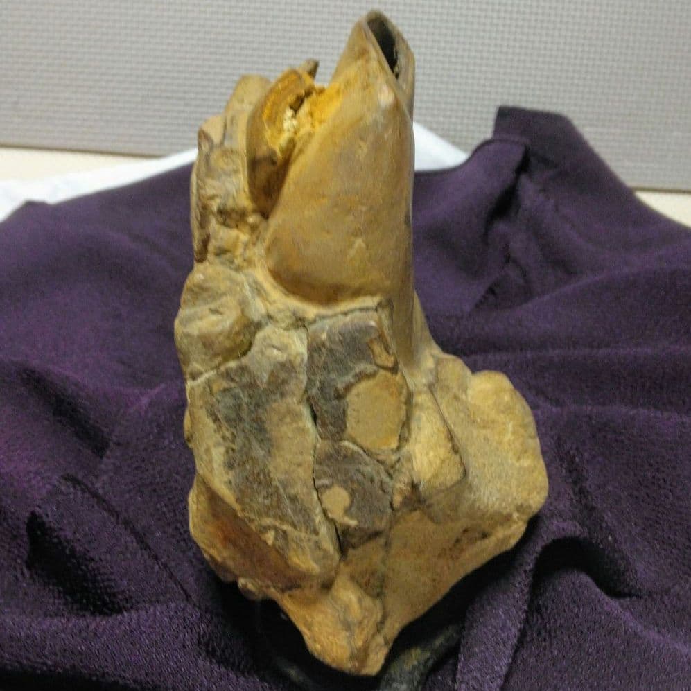 ☆壺石☆天然石☆鑑賞石