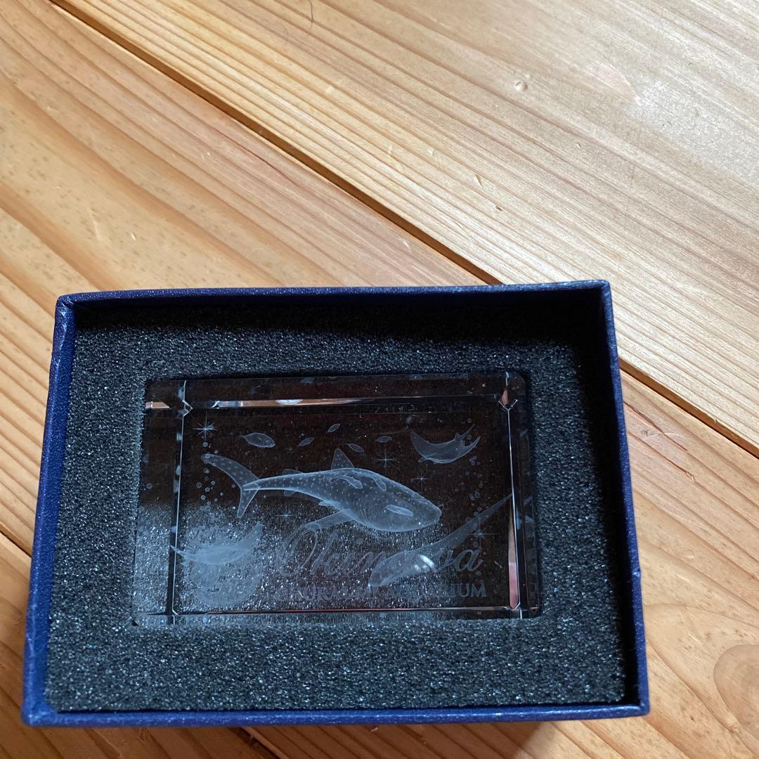 3DL   黒潮の海　20th   Anniv