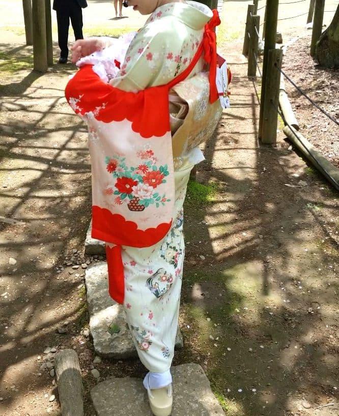 訪問着フルセット