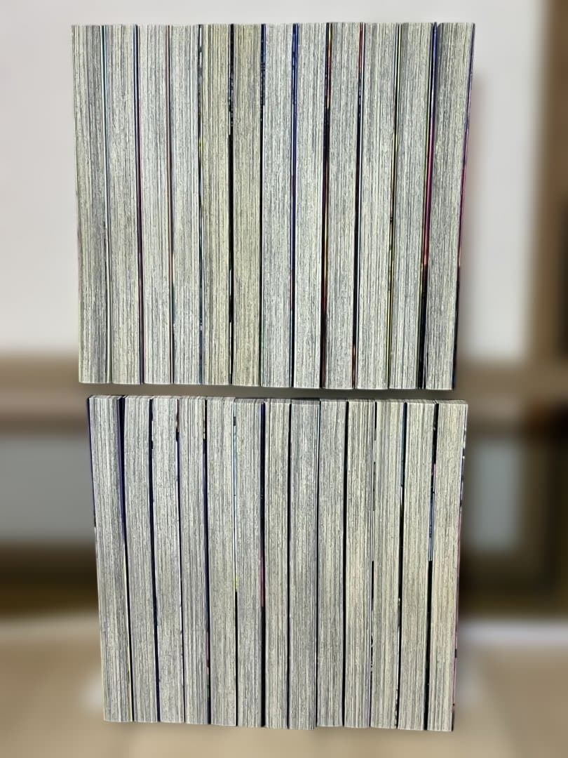 【最安値！】不滅のあなたへ 全25巻　全巻