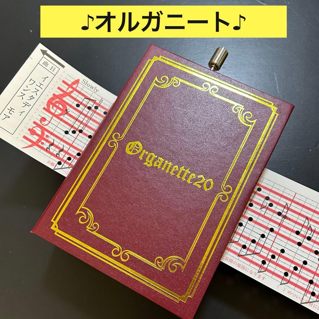 【オルゴール堂】20弁 BOOK型 手回しオルガニート /Organette20