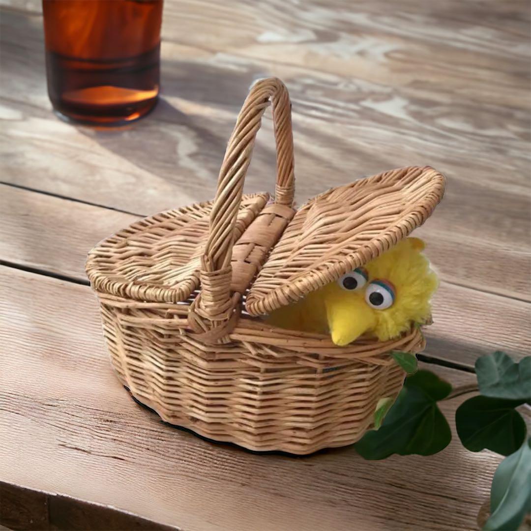 ハンギングバスケット　洗えるかご　リモコン入れやドライフラワー飾りなどに