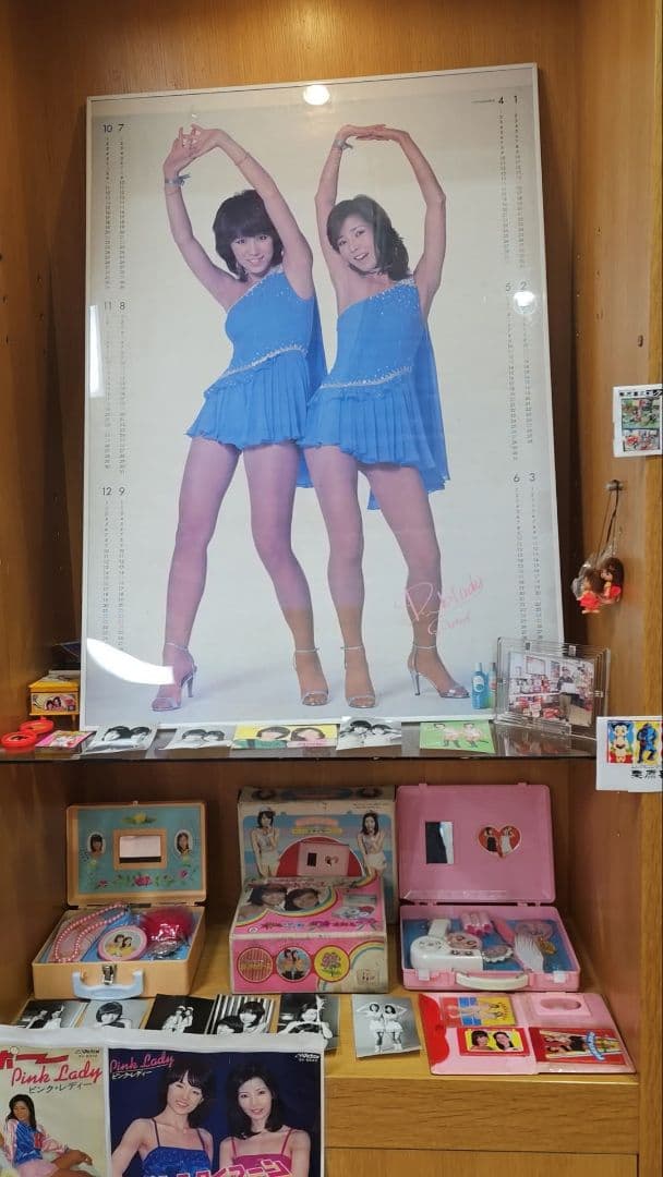 ペコさん専用 A ピンクレディポスター