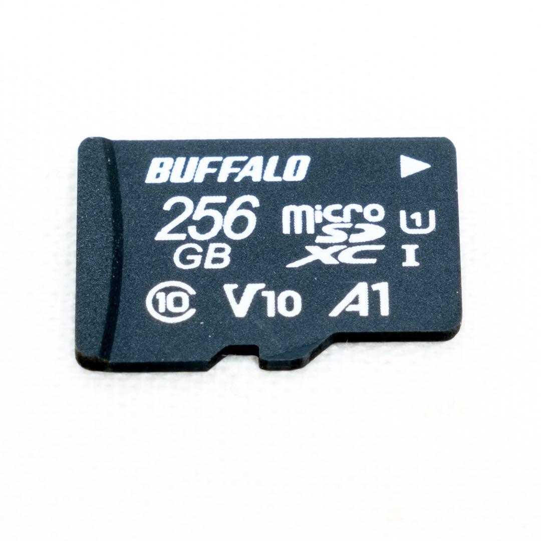 Nintendo Switch グレー 本体　MicroSD 256GB付き