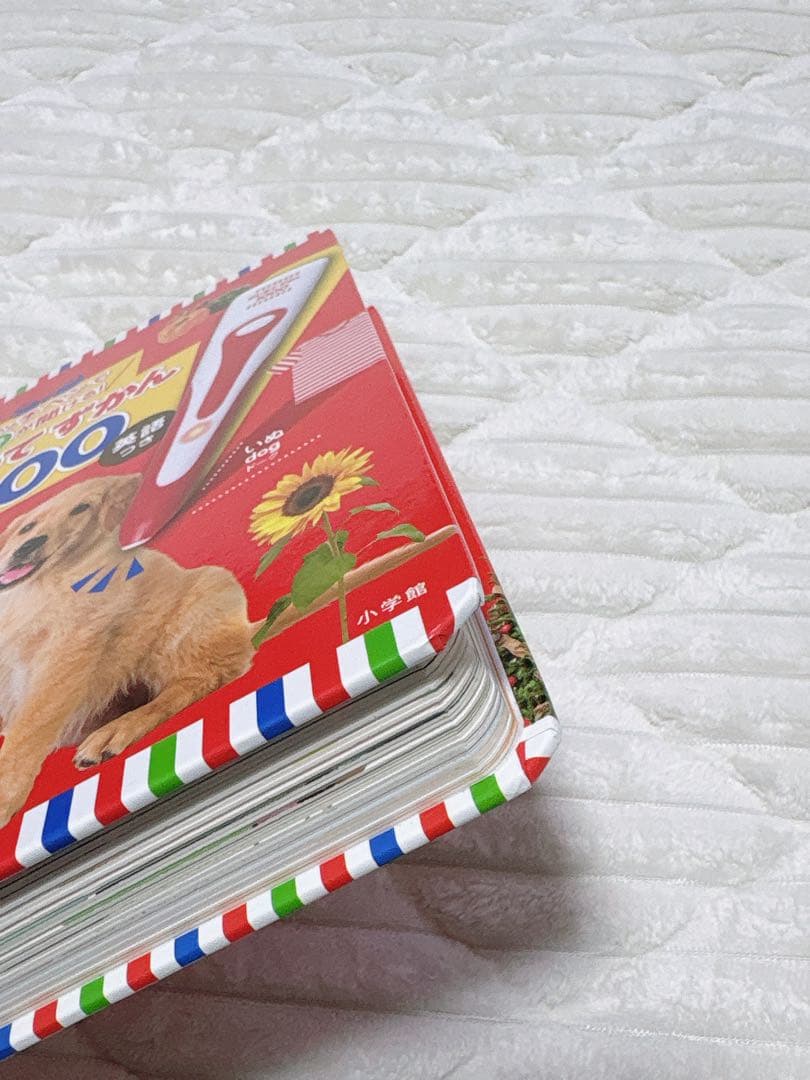 はじめてずかん 1000 まいにちのことばずかん 1500 セット
