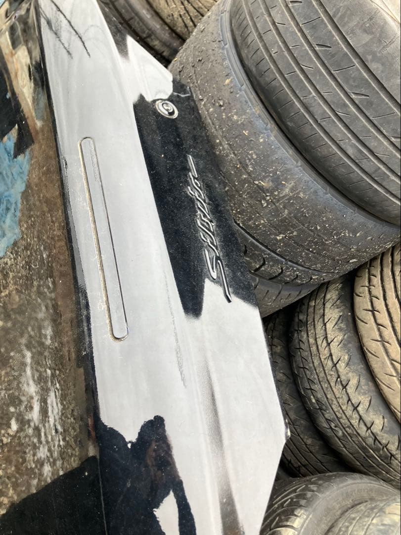 ヴァリエッタ デゲン様