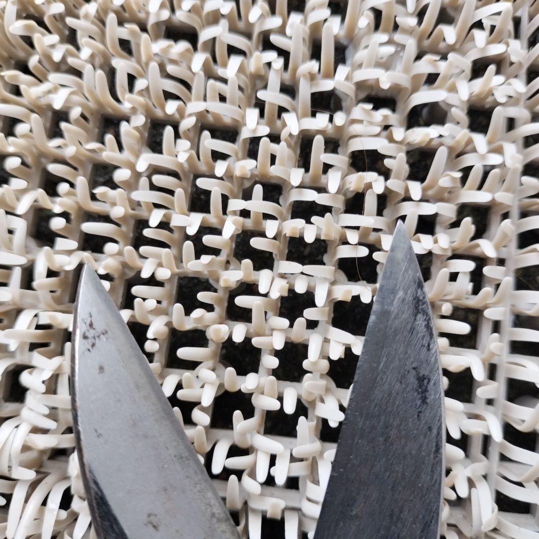 佐保 剪定鋏 金属製 使用感あり