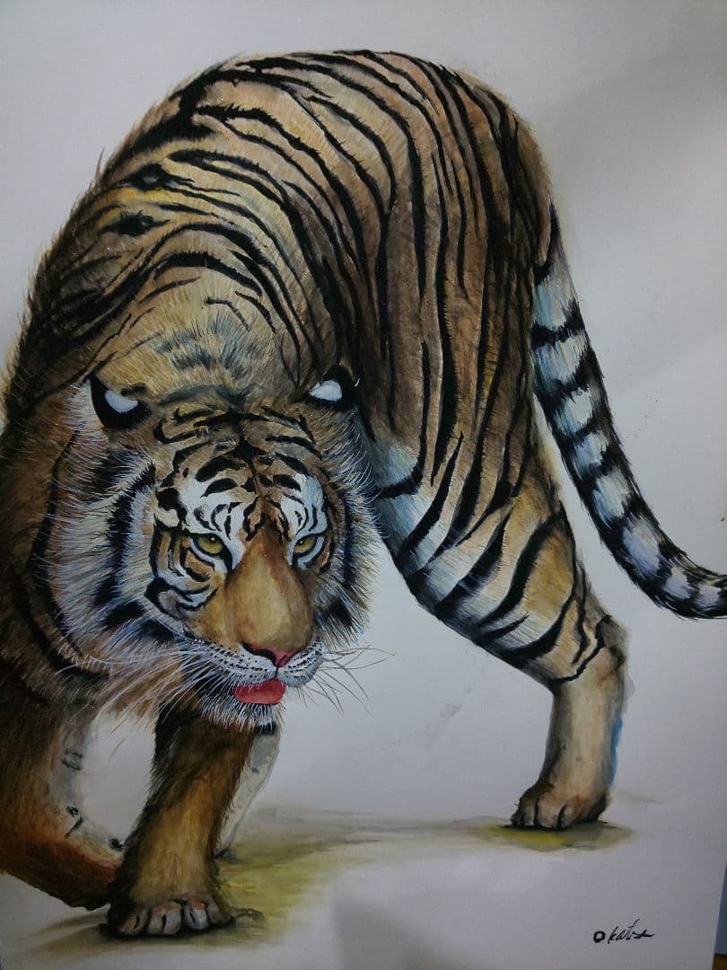 手描き水彩画 虎 寅 絵画