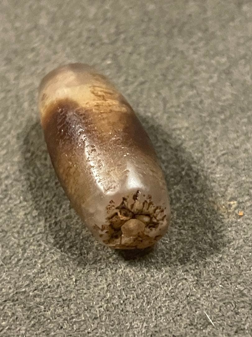 マサマサ様　12～18世紀ブータン郊外出土　古代天珠　虎牙天珠　風化