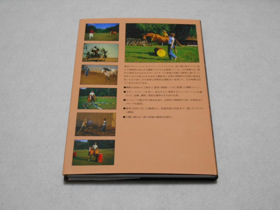 送料無料　馬と踊ろう Dancings with Horses