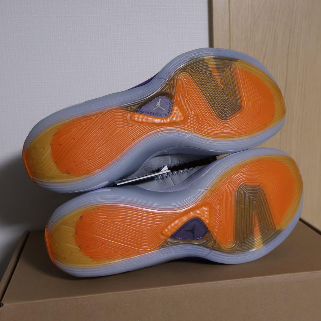 シューズ(男性用) NIKE JORDAN LUKA 1 NEXT NATURE PF 25cm