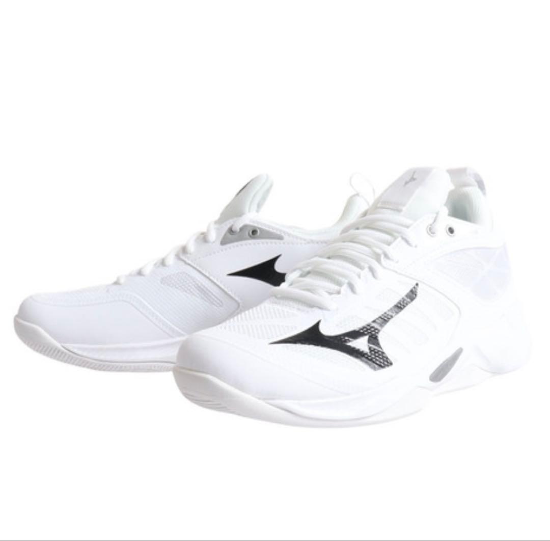 シューズ Mizuno Wave Momentum Pro 23.0cm