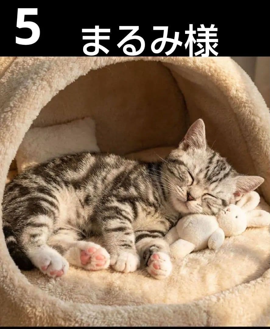 オーダーページ　ハンカチ　287 ねこちゃん柄　ハンドメイド1/19