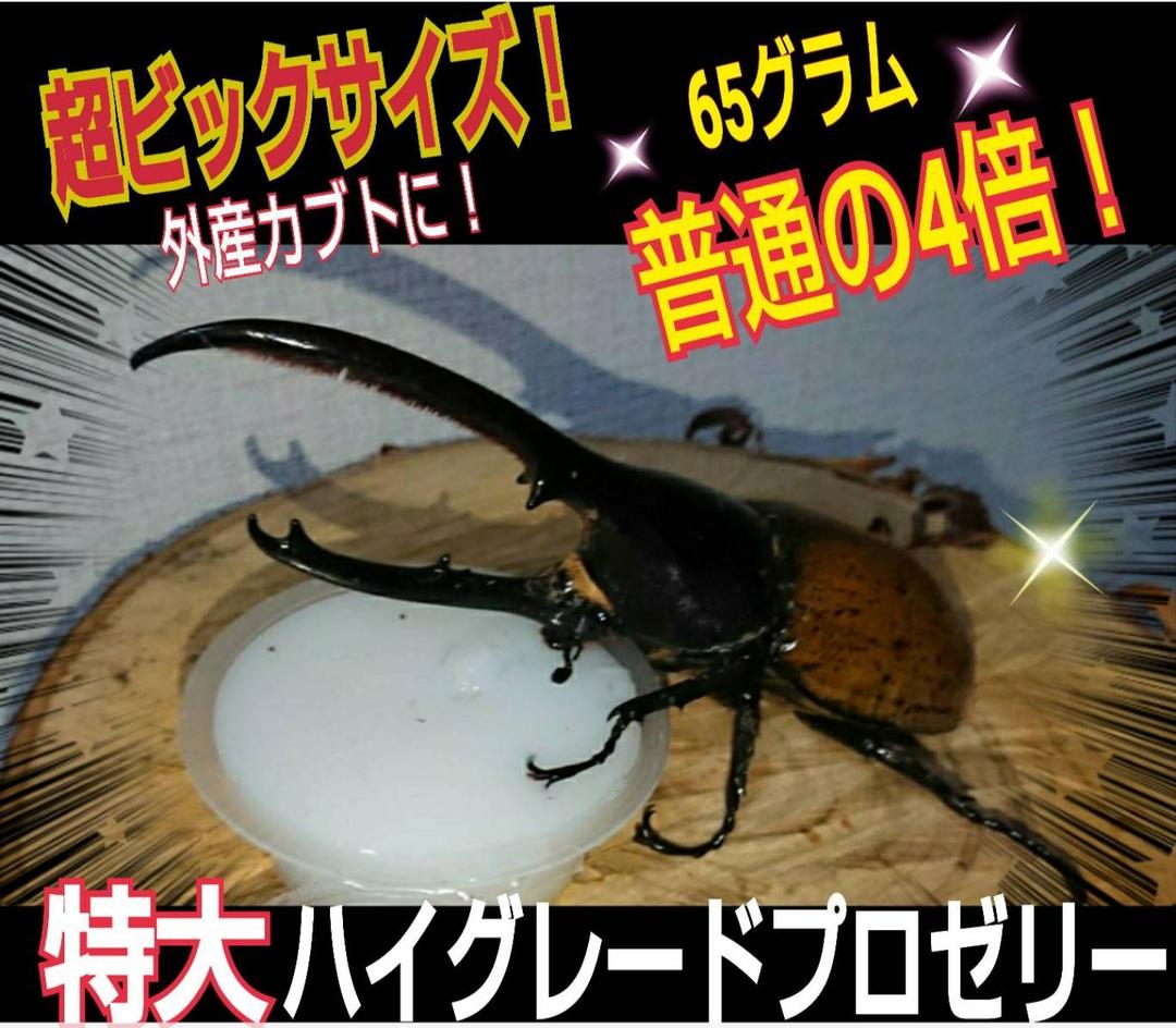 ビッグサイズ！ハイグレードプロゼリー☆200個　普通の4倍以上のデカサ！プロ仕様
