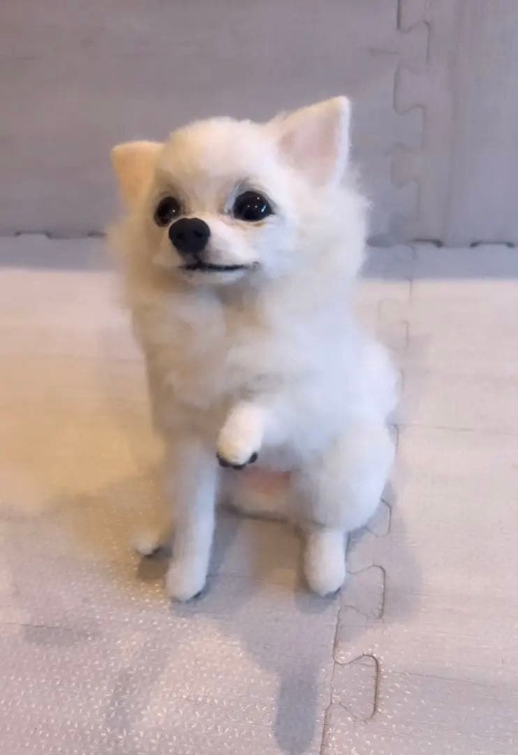 羊毛フェルト　チワワちゃん人形