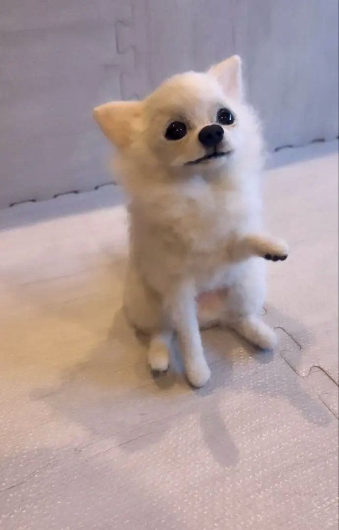 羊毛フェルト　チワワちゃん人形
