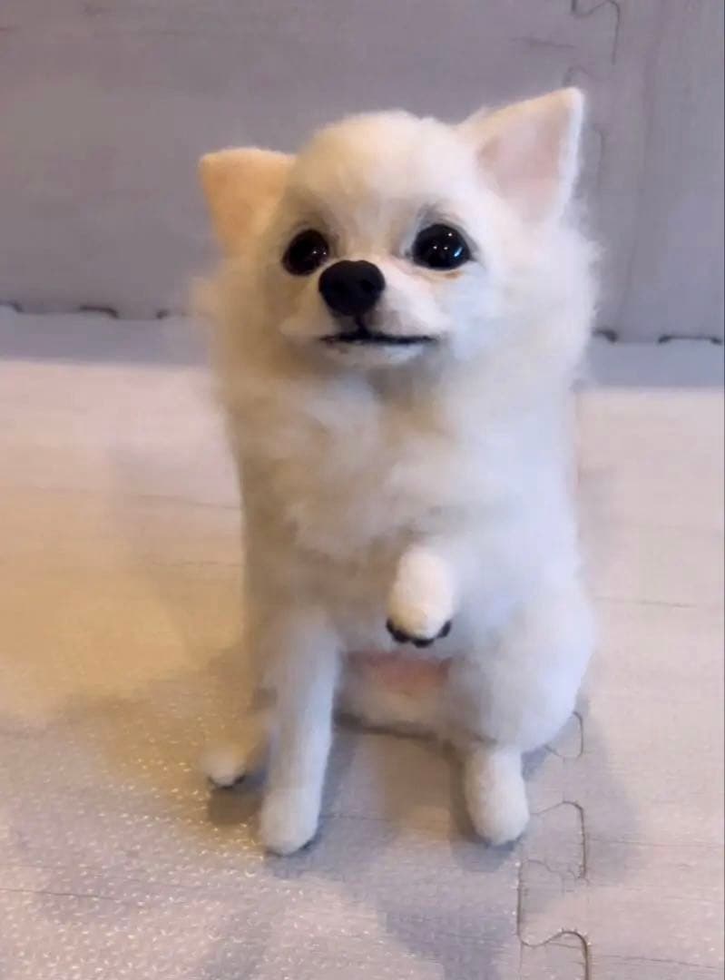 羊毛フェルト　チワワちゃん人形