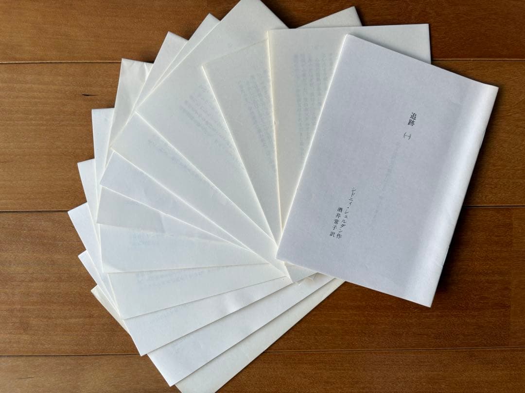 全巻フルセット　イングリッシュアドベンチャー　追跡　THE CHASE 英語教材