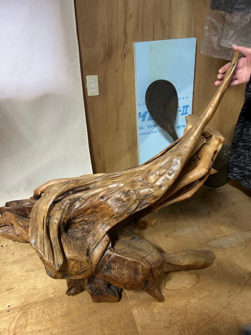 木 出土品 珍品 アンティーク