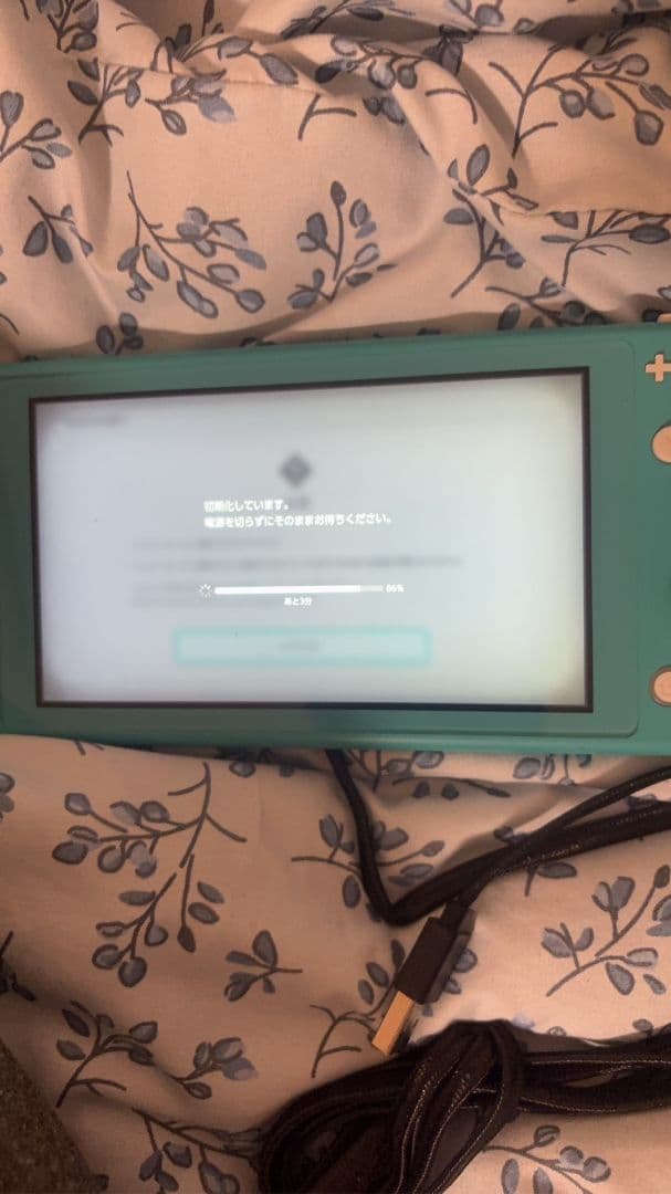Nintendo Switch Lite グレー・ターコイズ