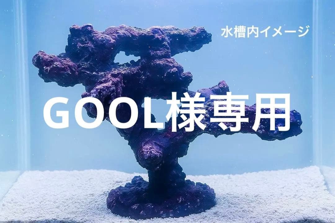 人工ライブロック RR83 アク抜き済み安心塗料使用