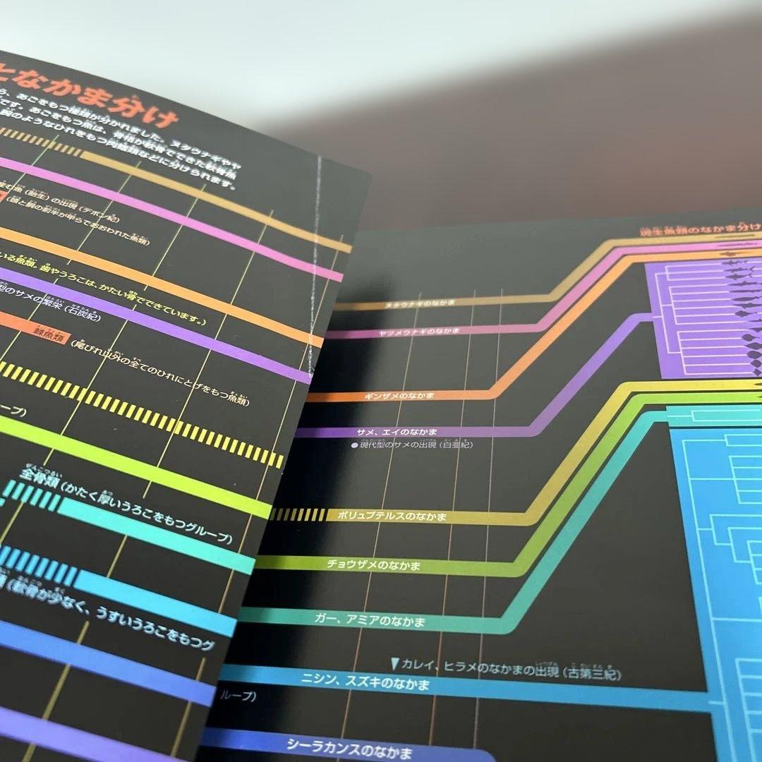 小学館の図鑑NEO と世界遺産14冊セット