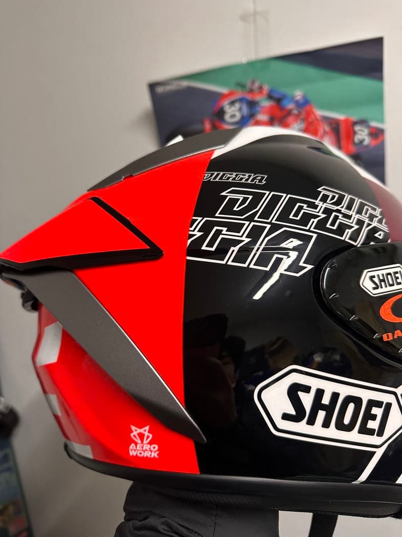 Jin SHOEI Xfifteen DIGGIA Lサイズ