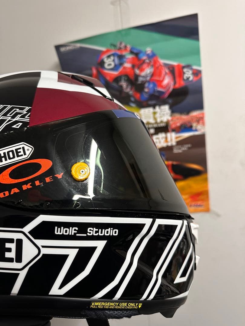 Jin SHOEI Xfifteen DIGGIA Lサイズ