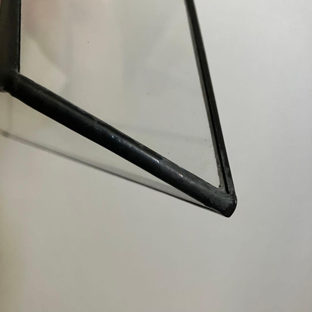 1012terra Hanging Argyle 壁掛け フラワーベース