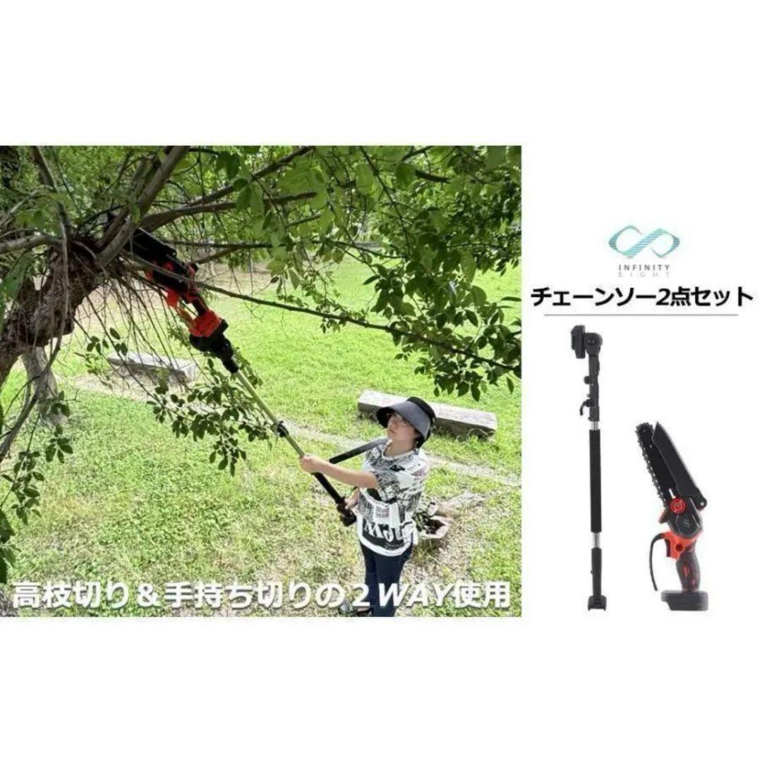 チェーンソー 高枝チェーンソー 延長ポール 1in2 電動 2点セット