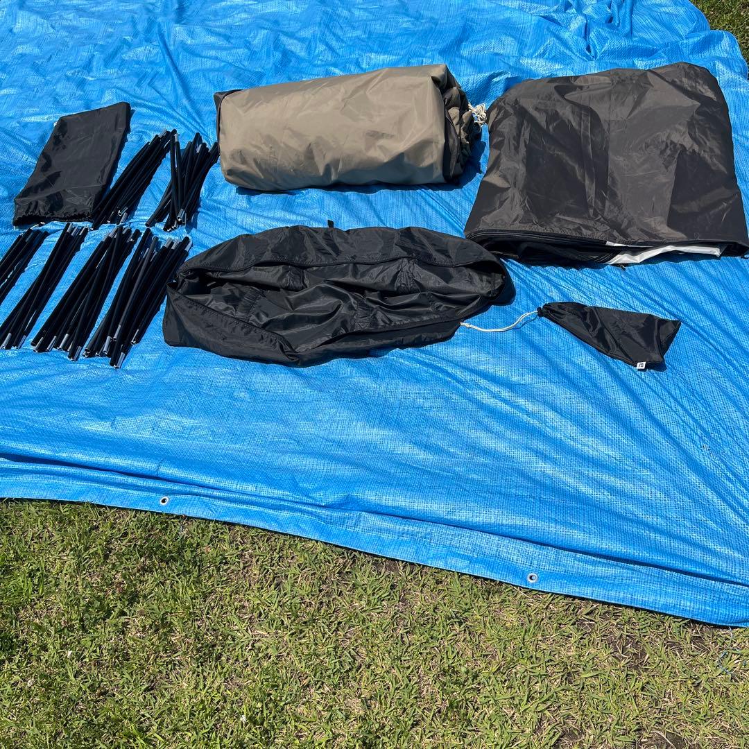 サバティカル アルニカ