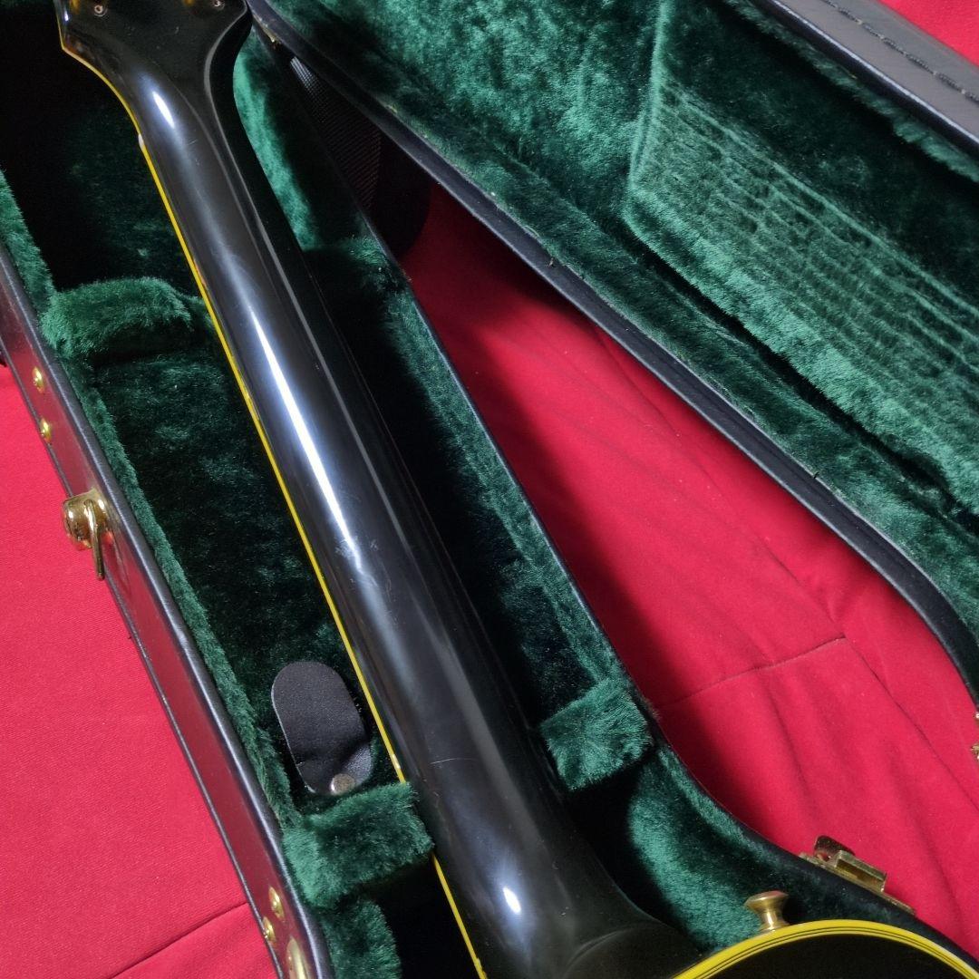 ギター ESP navigator N-LP-320CTM