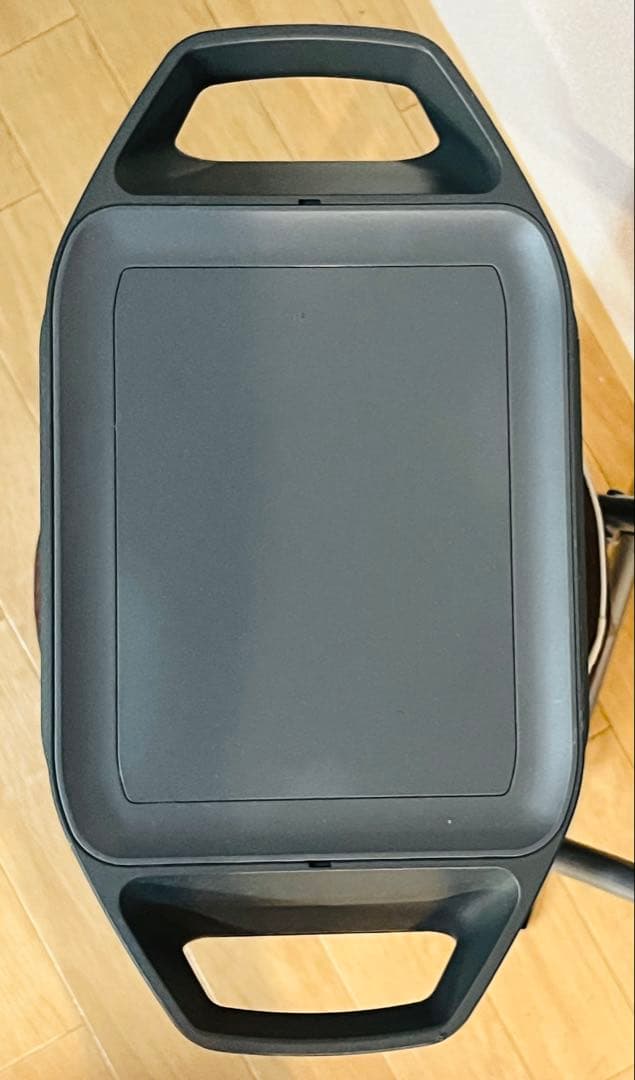 DELTA 2 ECOFLOW ポータブル電源 1500W