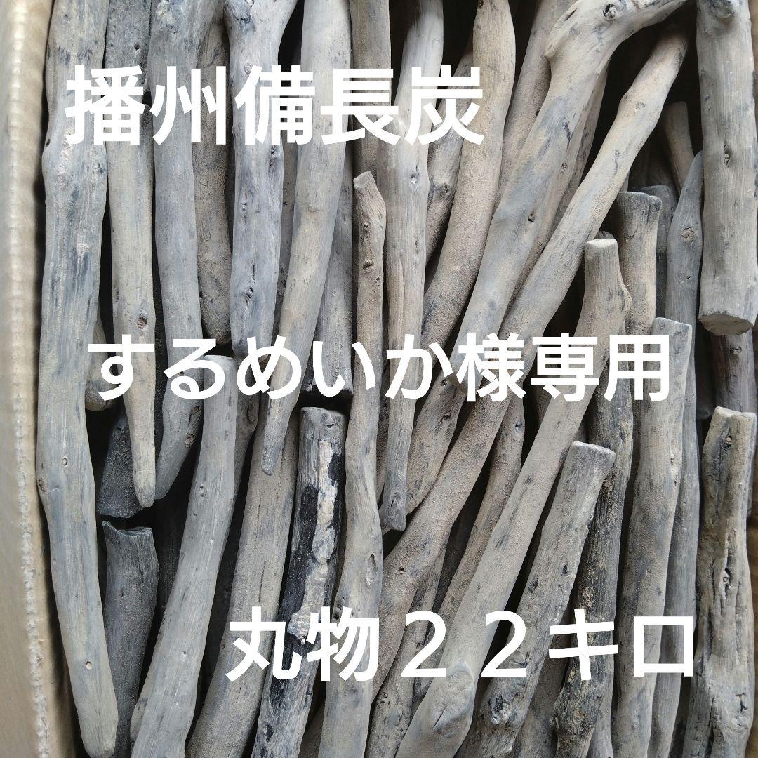 するめいか 丸物２２キロ